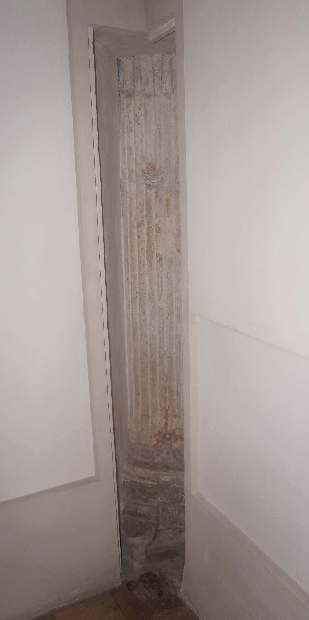 Abb. 428-MicheleeMagno_023.jpg